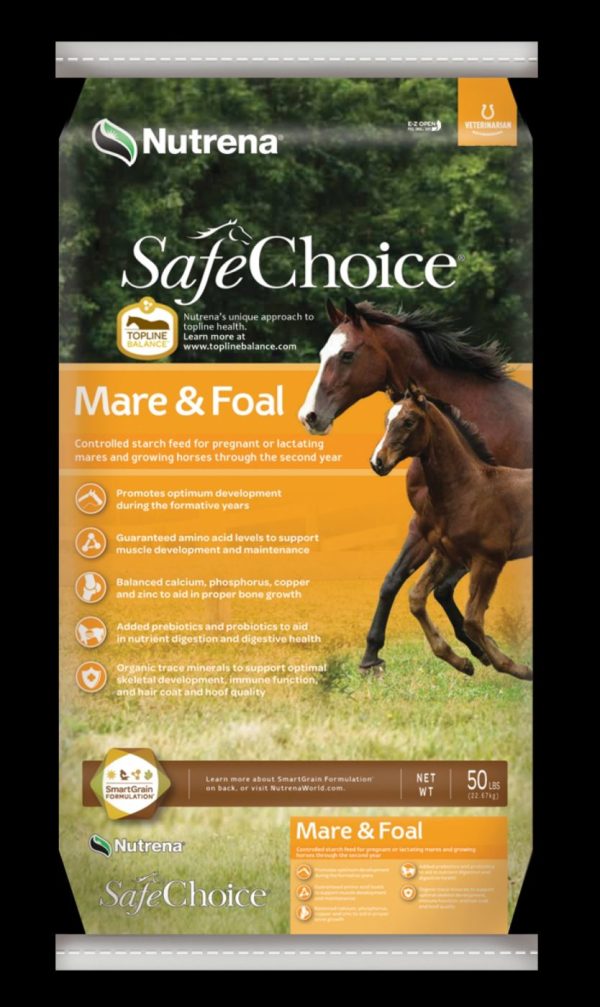 Safe Choice Mare and Foal