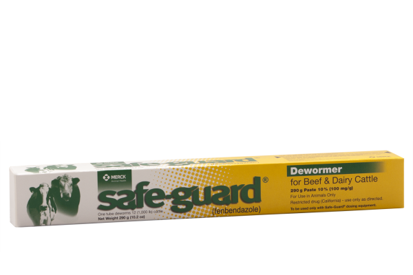 safe guard Paste 290gm