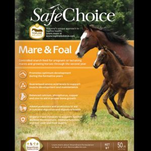 Safe Choice Mare and Foal