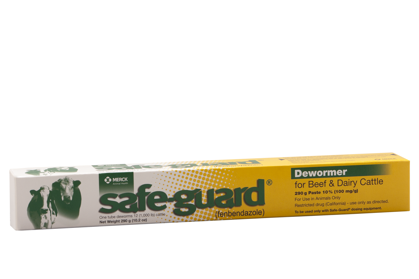 safe guard Paste 290gm
