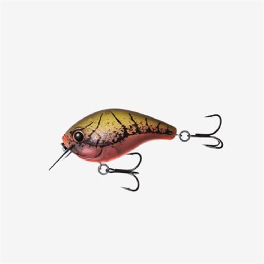 Product categories Lures & Bait : G5 Feed & Outdoor