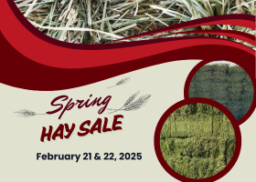 Spring Hay Sale 2025